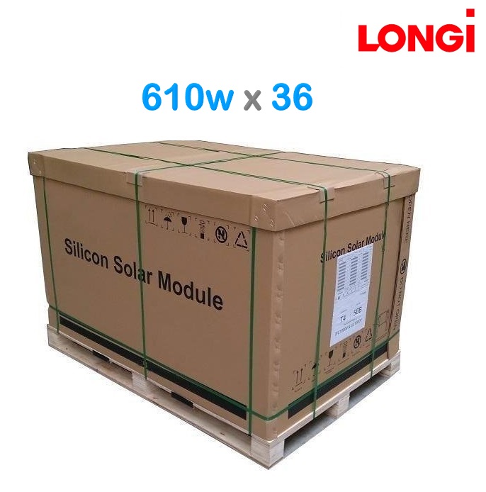 Pallet-Longi-610w - Imagen 1